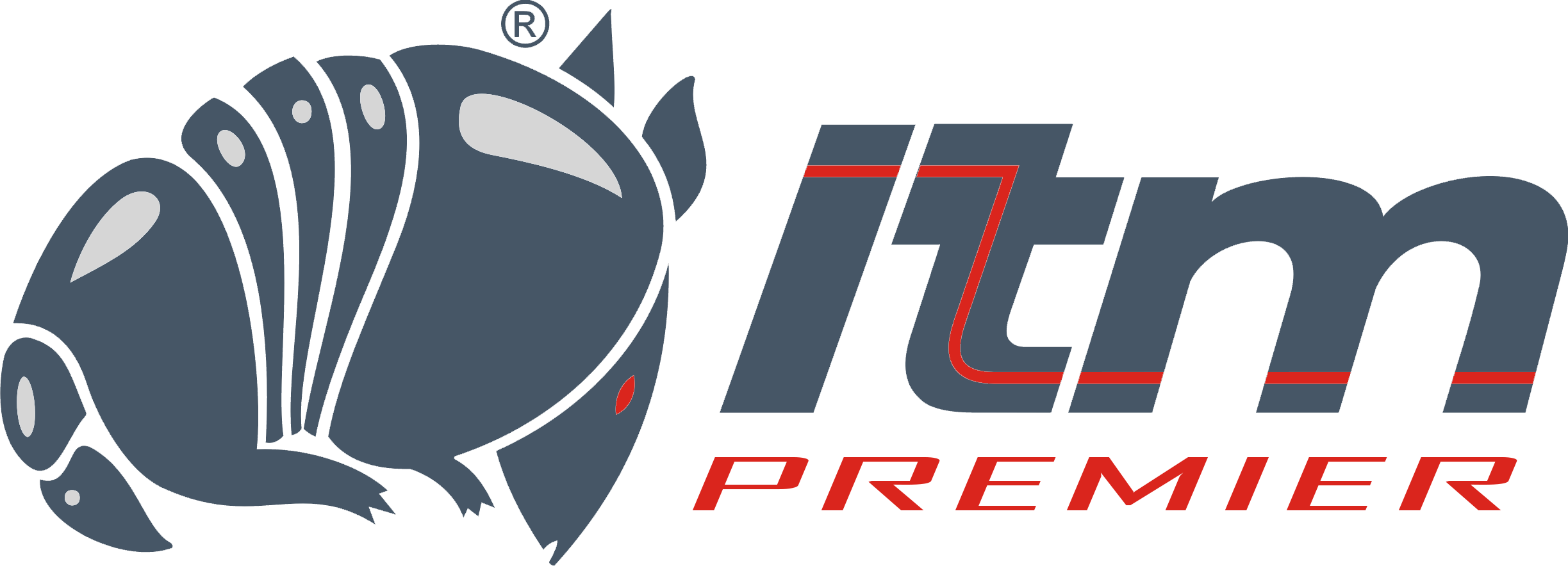 ITM Premier FstSupport